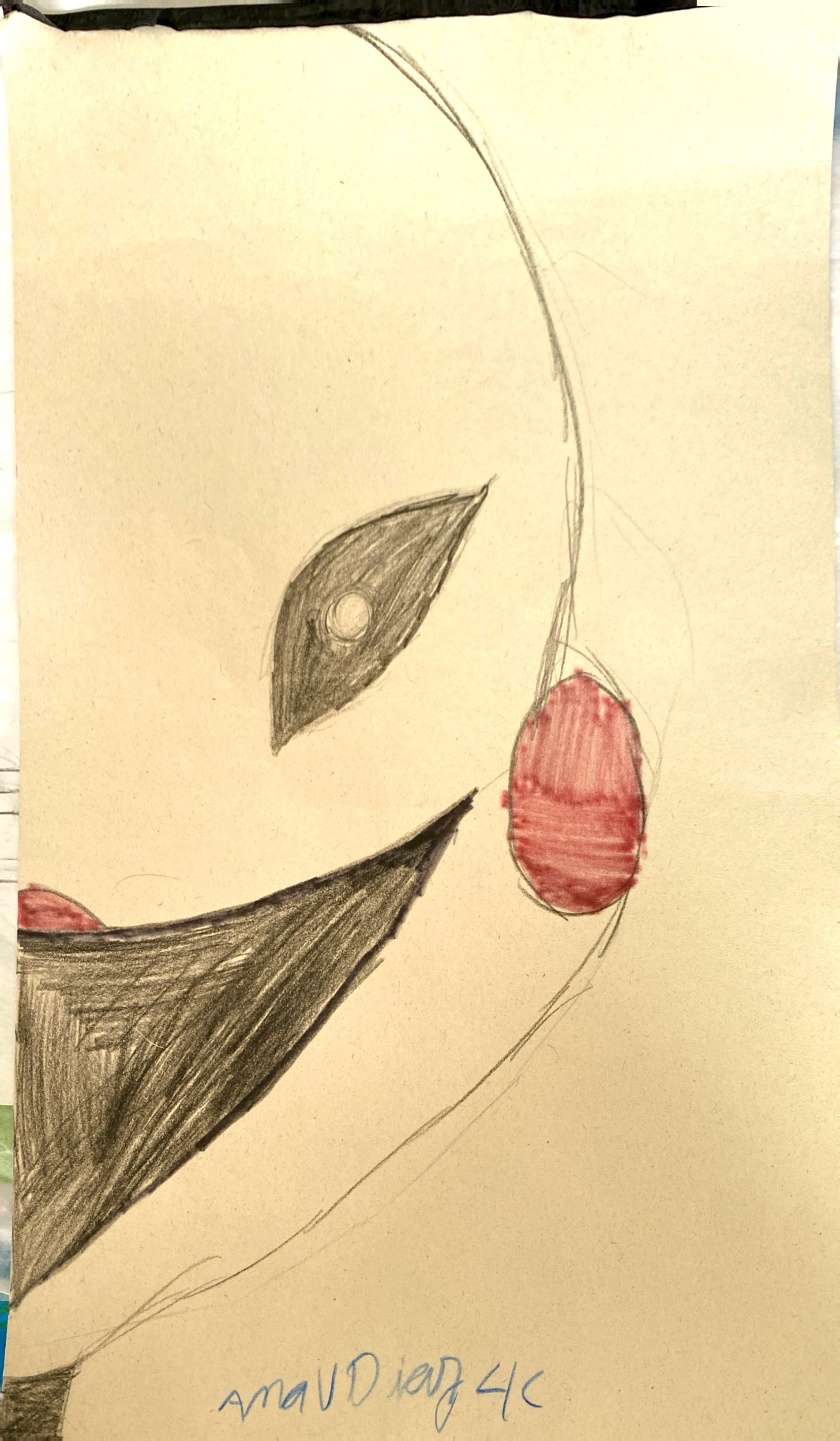 Galería obras Primaria